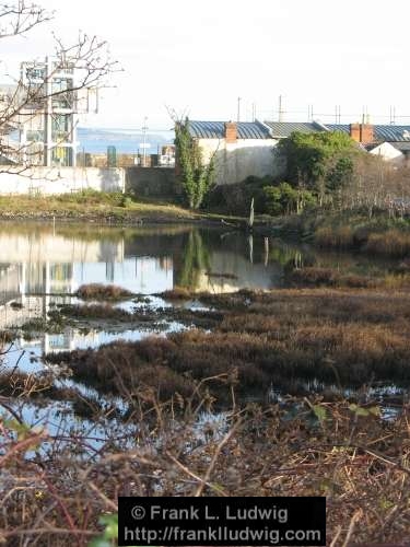 Booterstown Nature Reserve